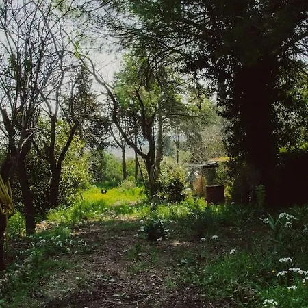 Superbe En Pleine Nature *