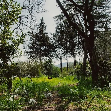 En Pleine Nature 샬레 Cournonsec