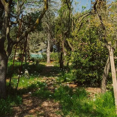 En Pleine Nature * Cournonsec