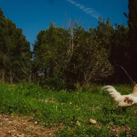 En Pleine Nature 샬레 Cournonsec