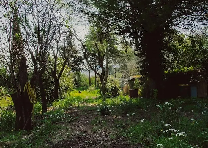 Superbe En Pleine Nature *