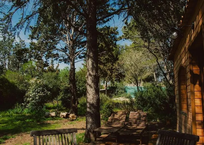 Superbe En Pleine Nature * Cournonsec