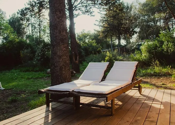 Chalet Superbe En Pleine Nature Cournonsec
