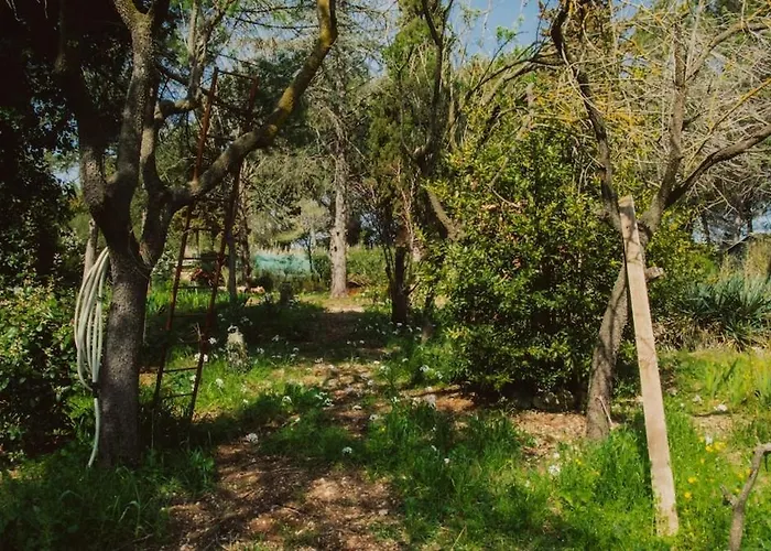 Superbe En Pleine Nature * Cournonsec