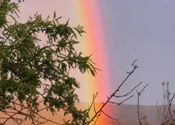 Superbe En Pleine Nature